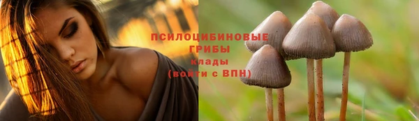 каннабис Алзамай