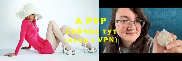 стафф Абаза