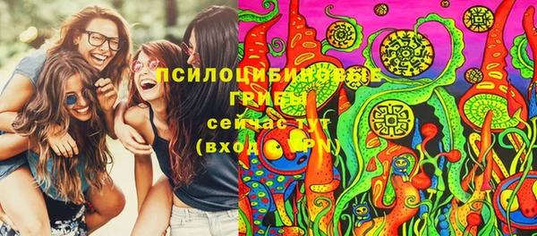 стаф Абдулино